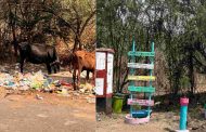 'कचराकुंडी होतेय सेल्फीपॉईंट'...