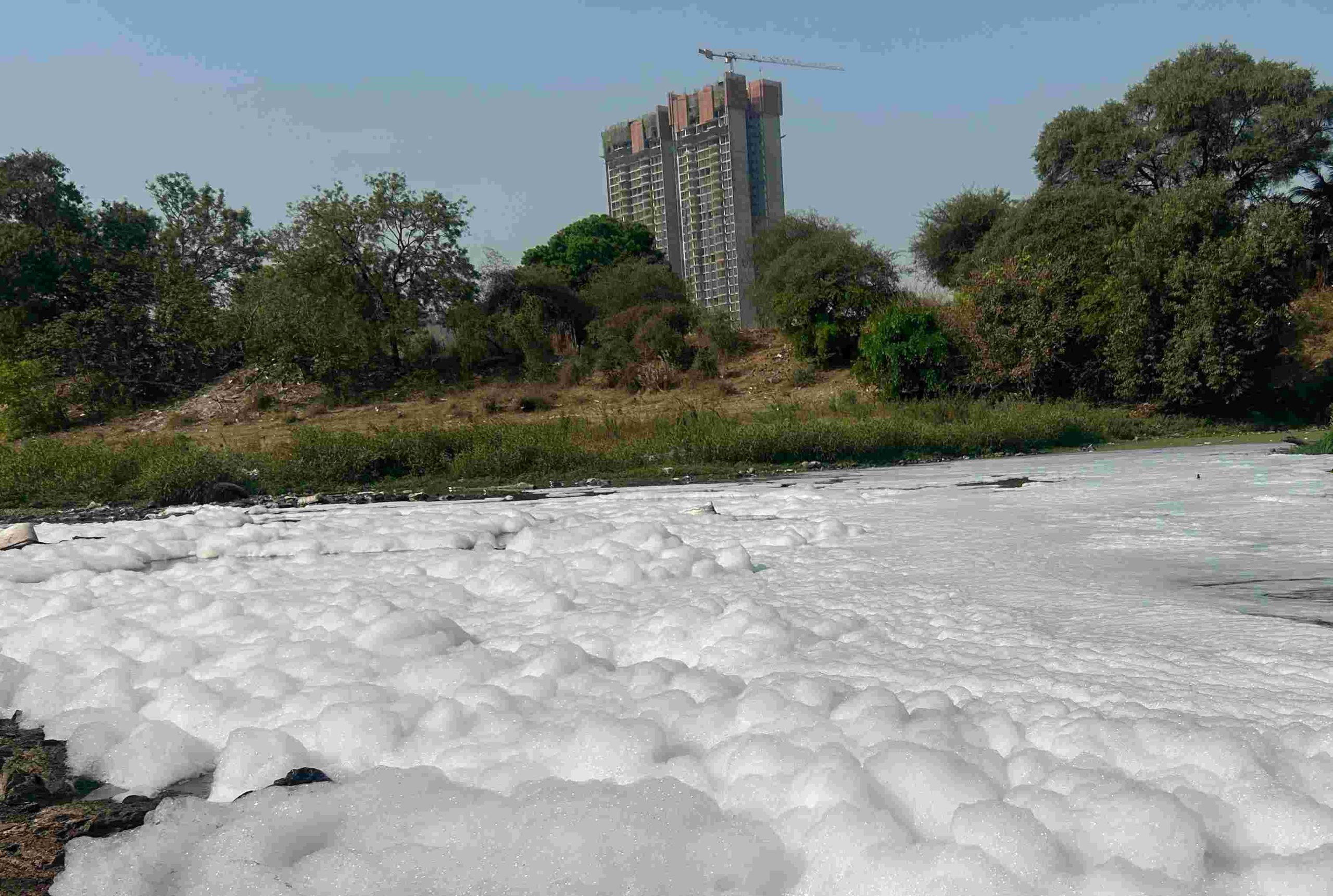 'नागरिक हो' पिंपळे निलखची मुळा नदी पुन्हा फेसाळली...