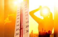 उष्णतेच्या लाटेपासून बचावासाठी अशा करा उपाययोजना...