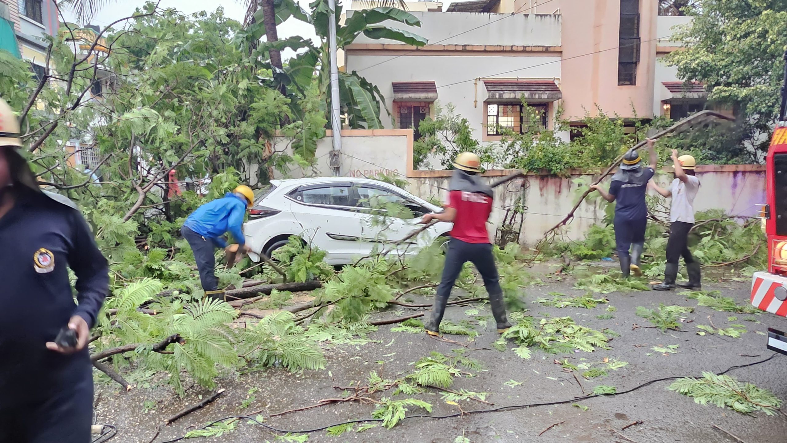 पावसामुळे ६६ ठिकाणी पडलेली झाडे पालिकेने तात्काळ हटवली...