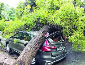 प्राधिकरणात कारवर झाड कोसळले...