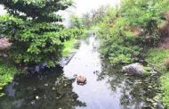 जवळपास सत्तर टक्के नालेसफाई झाल्याचा आरोग्य विभागाचा दावा...