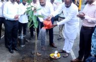 महापालिकेच्या वृक्षारोपण मोहिमेत सहभागी व्हा व झाडे लावा...