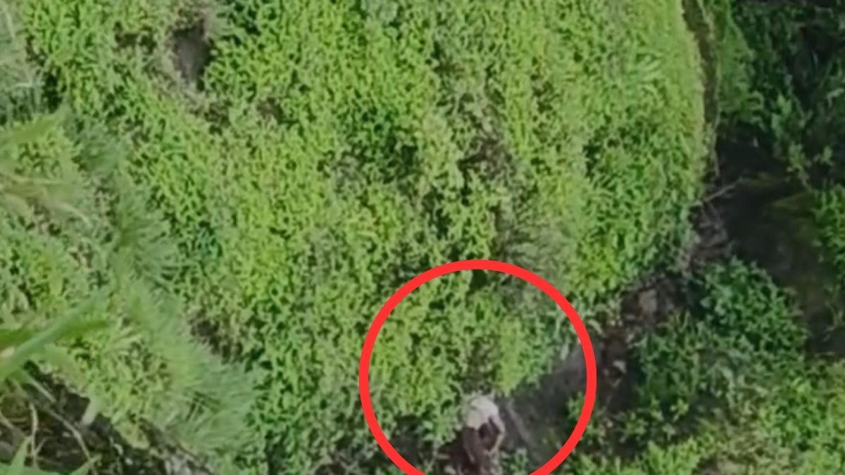 चाळीस वर्षीय तलाठी आणि सतरा वर्षीय तरुणीची कोकणकड्यावरून उडी मारून आत्महत्या... आढळला मृतदेह...