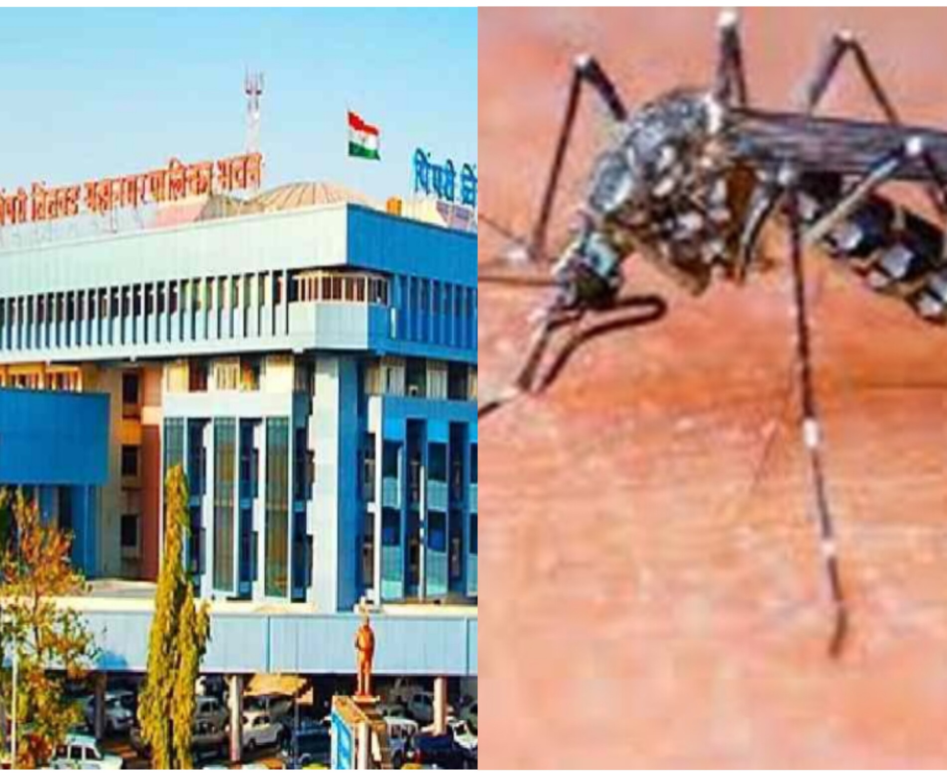 डेंग्यू प्रतिबंधासाठी साडेचार लाख ठिकाणांची पाहणी..