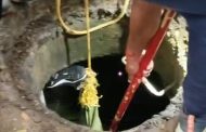 स्वातंत्र्यदिनीच निगडी प्राधिकरणात कामगारांवर काळाचा घाला..