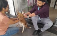 रावेत, चिंचवडगाव, मोशी व भोसरी-दिघी परिसरात रेबीज अभियान...