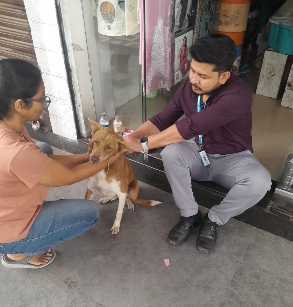 रावेत, चिंचवडगाव, मोशी व भोसरी-दिघी परिसरात रेबीज अभियान...