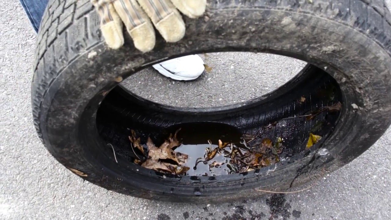 दोन हजार टायर पंक्चर व भंगार दुकानांना तातडीच्या सूचना...