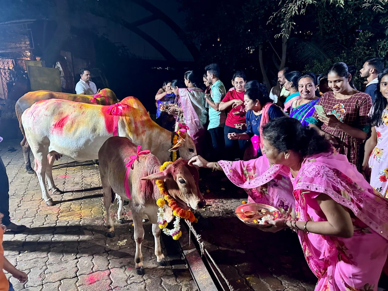 चिंचवडगावात धनेश्वर महादेव मंदिर गोशाळेत पारंपरिक विधींनी गोमातेचे पूजन...