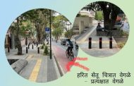 'हरित सेतू प्रकल्प' राबवताना 