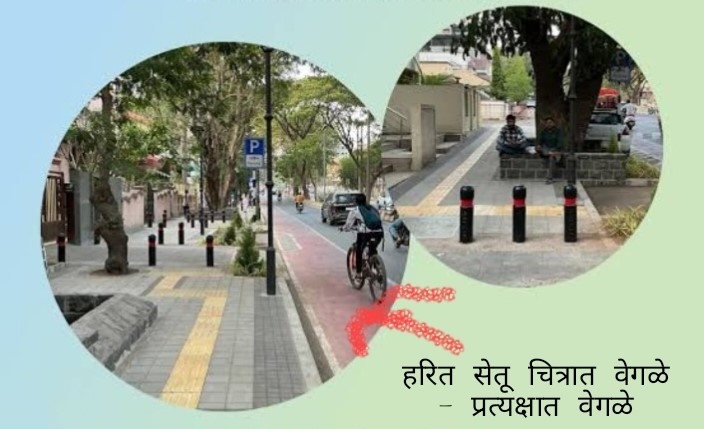 'हरित सेतू प्रकल्प' राबवताना 