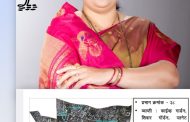 पिंपळे सौदागर-रहाटणीचा यंदा कायापालट होणार..