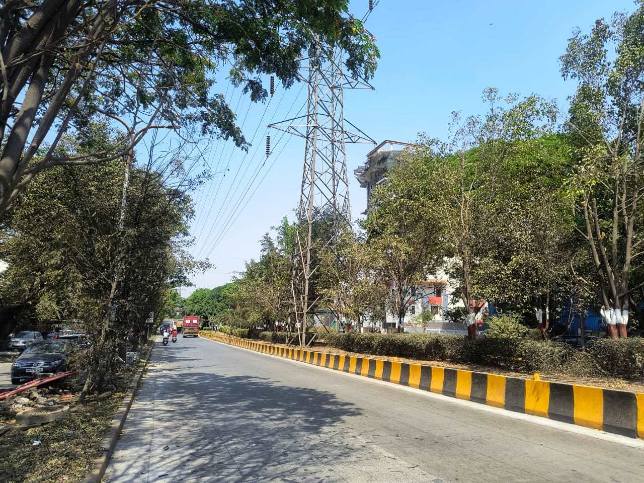 महापारेषणच्या उच्च क्षमतेच्या टॉवर लाईनखाली उंच 'पाम' झाडांची लागवड..