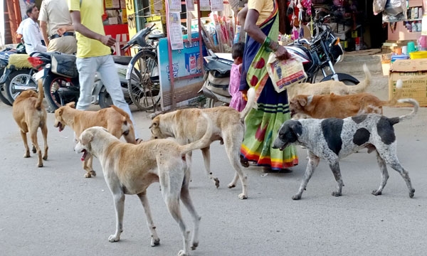 आरा .रा..रा.. खतरनाक...