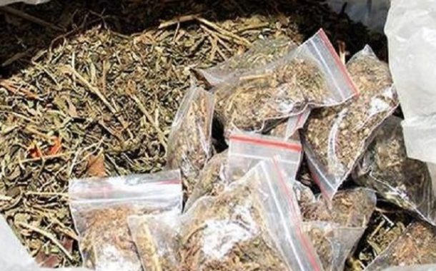 चिखली परिसरात पोलिसांची मोठी कारवाई; १७६ ग्रॅम गांजासह एकाला अटक