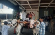 (ब्रेकिंग न्युज)... राष्ट्रवादीच्या नगरसेवकांचा बैलगाडीतून महापालिकेत प्रवेश..