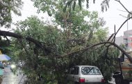 भोसरी-मोशीत झाडे कोसळून नुकसान...