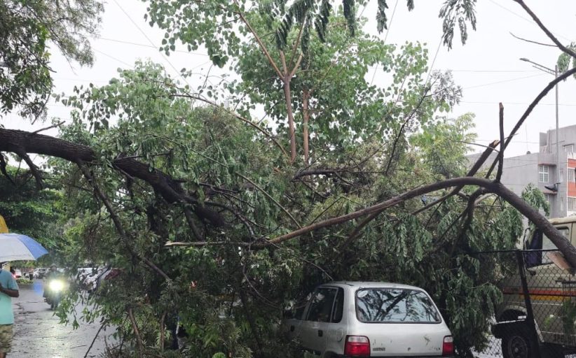 भोसरी-मोशीत झाडे कोसळून नुकसान...