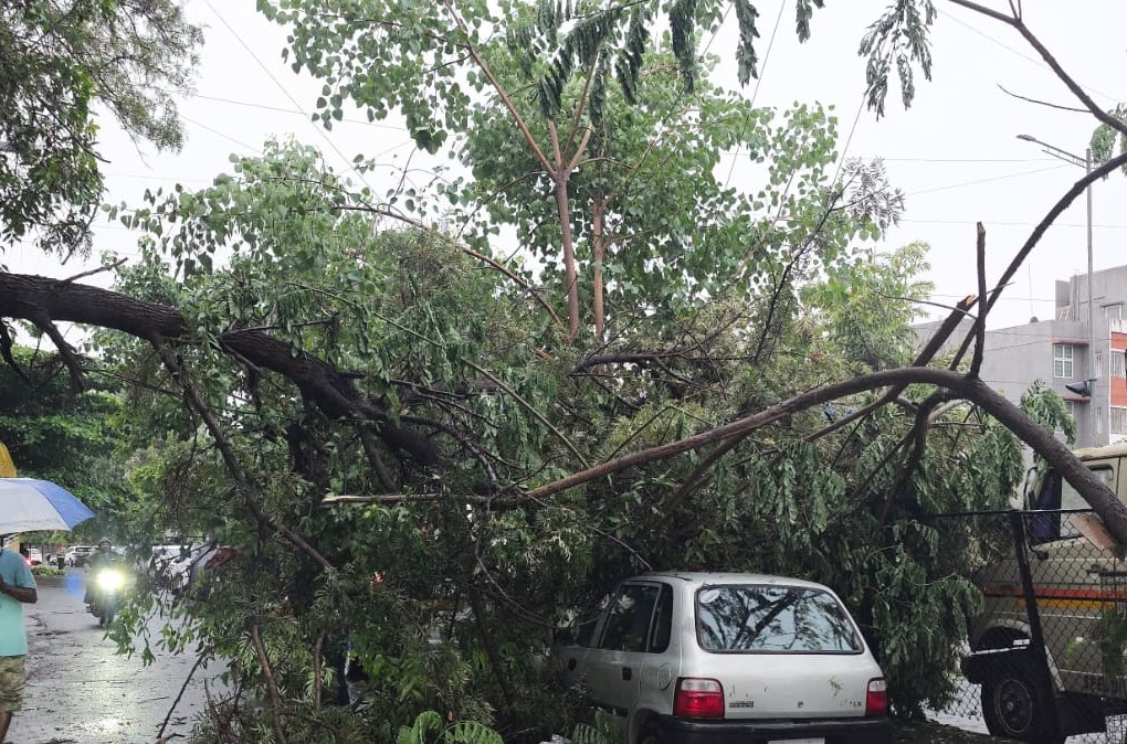 भोसरी-मोशीत झाडे कोसळून नुकसान...