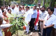 स्वच्छ व हरित पिंपरी चिंचवडसाठी दोन लाख वृक्ष लागवडीचे नियोजन...