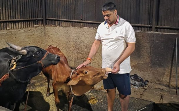 भाजपा युवा मोर्चा शहराध्यक्षांकडून “सिंधु” गायीचा अनोखा वाढदिवस साजरा...