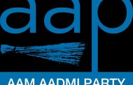 गडकिल्ल्यांची नावे देऊन प्रश्न सुटणार नाहीत - आप युवक आघाडी...