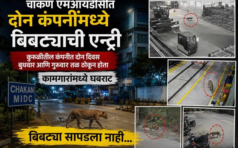 चाकण एमआयडीसीत खळबळ..