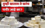 हॉटेलच्या मेन्यू कार्डवरील 'पनीर' खरे की ‘चीज अॅनालॉग’?...