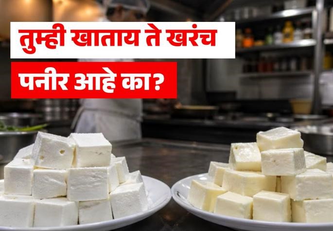 हॉटेलच्या मेन्यू कार्डवरील 'पनीर' खरे की ‘चीज अॅनालॉग’?...