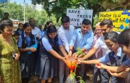 पर्यावरणाचे रक्षण ही प्रत्येकाची सामूहिक जबाबदारी - अनिताताई संदीप काटे..