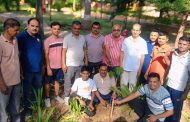 भाजपा युवा मोर्चातर्फे इंद्रायणीनगर येथे उत्साहात वृक्षारोपण कार्यक्रम संपन्न...