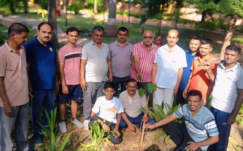 भाजपा युवा मोर्चातर्फे इंद्रायणीनगर येथे उत्साहात वृक्षारोपण कार्यक्रम संपन्न...