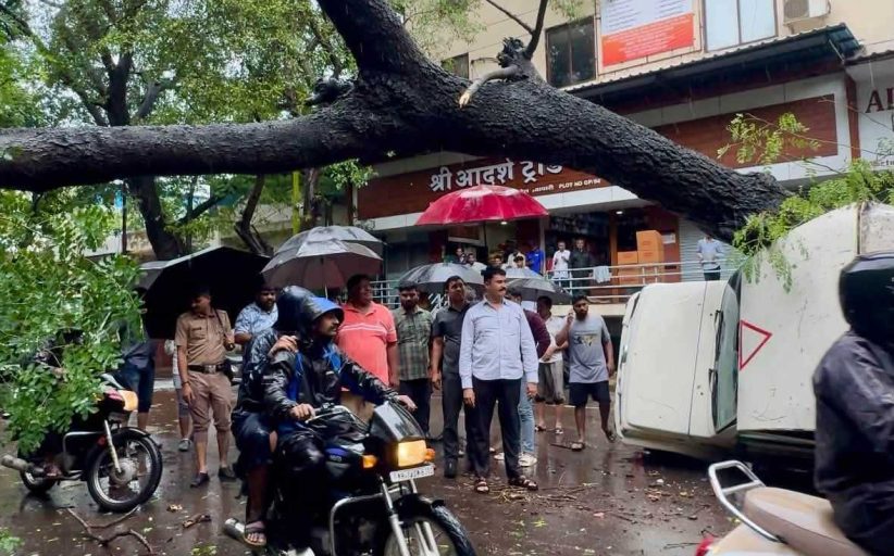 शाहूनगरमध्ये रस्त्यावर झाड कोसळले...