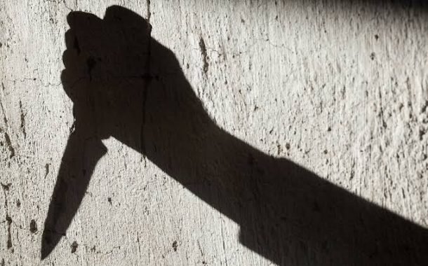 भावाची चाकूने हत्या; धाकटा भाऊ अटकेत...