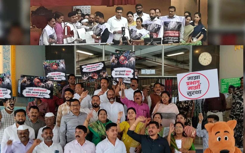 चिखलीतील चिमुकलीवरील कुत्र्यांच्या हल्ल्याचे महासभेत पडसाद..