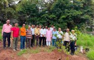 स्वातंत्र्याचा उत्सव साजरा करताना निसर्गाचे स्वातंत्र्यही जपूया - अनुप मोरे...