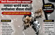 (संपादकीय) कोट्यवधींची नसबंदी; तरीही श्वानदहशत कायम!..