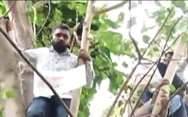 वृक्ष गणनेवरून ‘आप’ आक्रमक; नव्या निविदेला विरोध..
