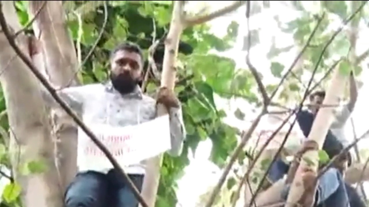 वृक्ष गणनेवरून ‘आप’ आक्रमक; नव्या निविदेला विरोध..