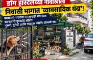''डॉग हॉस्टेल''च्या नावाखाली शहरातील निवासी भागात थाटलायं ‘व्यावसायिक दुकानं’!..