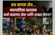 शहरातील ‘कुत्र्यां’चा प्रश्न बनलाय आता 'क्राइम स्टोरी'..