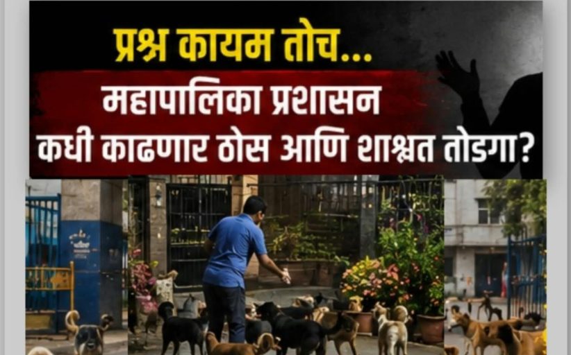 शहरातील ‘कुत्र्यां’चा प्रश्न बनलाय आता 'क्राइम स्टोरी'..