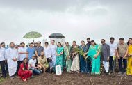पुनावळेत ५ हजार झाडांचा ‘हरित’ संकल्प..