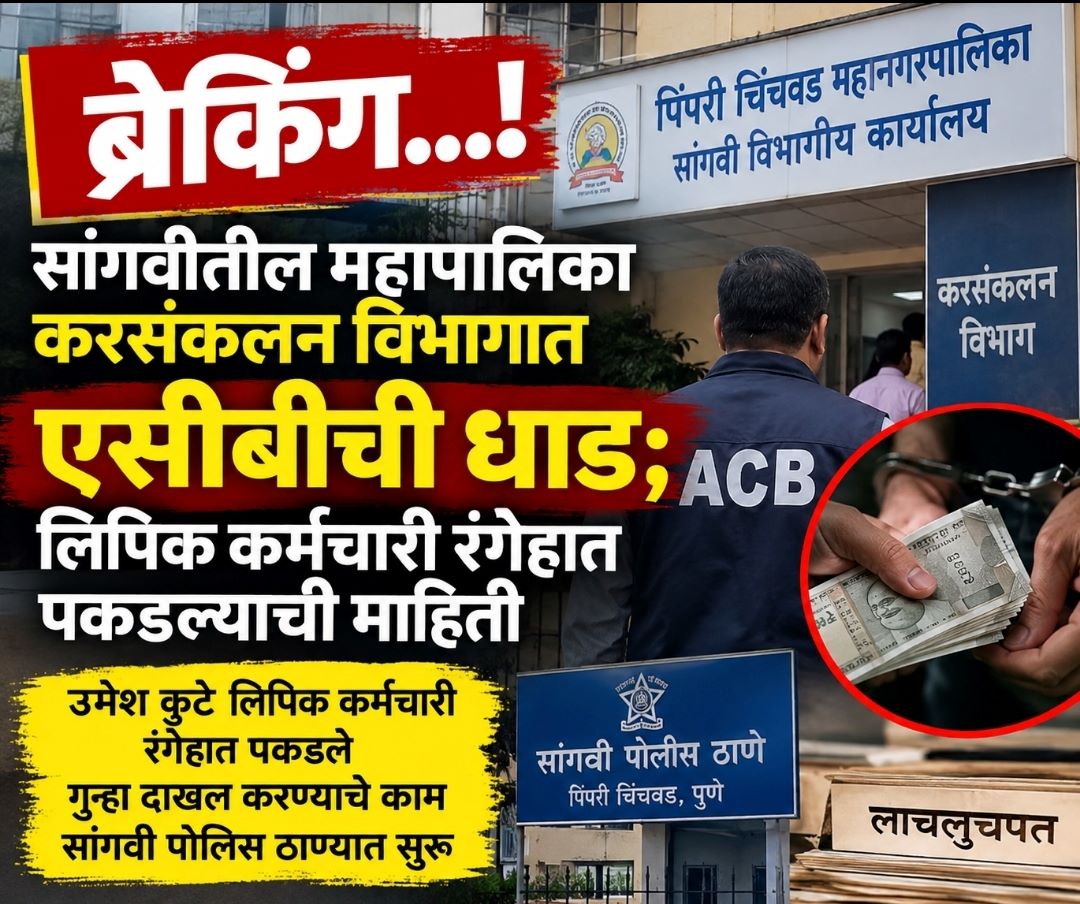ब्रेकिंग...सांगवीतील महापालिका करसंकलन विभागात एसीबीची धाड...