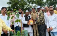मराठवाडा जनविकास संघातर्फे भंडारा डोंगराच्या पायथ्याशी १ हजार रोपांचे वृक्षारोपण...