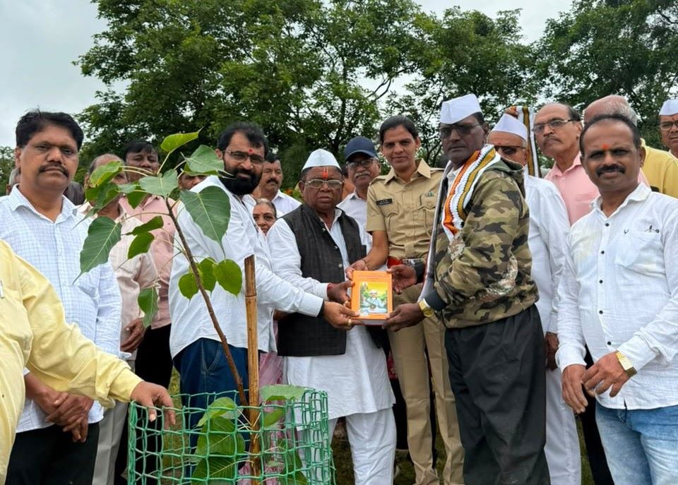 मराठवाडा जनविकास संघातर्फे भंडारा डोंगराच्या पायथ्याशी १ हजार रोपांचे वृक्षारोपण...